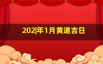 202|年1月黄道吉日